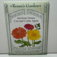 Thumbnail for Cut & Come Again Zinnia Seeds