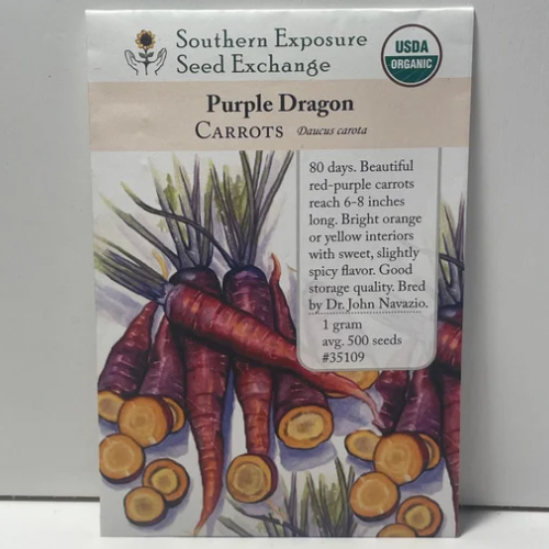 Purple Dragon Carrot Seeds, Organic