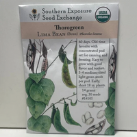 Thumbnail for Thorogreen Heirloom Lime Beans Seeds organic 