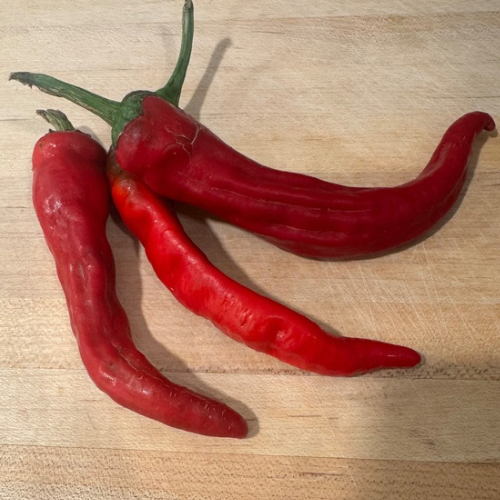 Ram's Horn Pepper, Heirloom (Hot), Organic