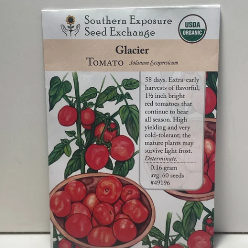 Glacier Tomato Seeds, Determinate, Organic