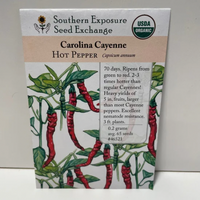 Thumbnail for Carolina Cayenne Pepper Seeds, Organic