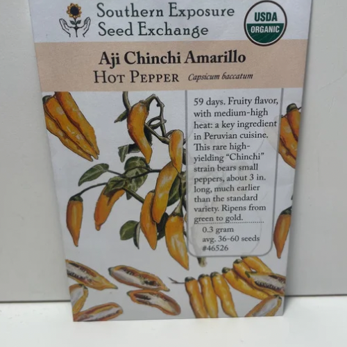 Aji Chinchi Amarillo Pepper Seeds, 1500's Peruvian Heirloom Update, Organic