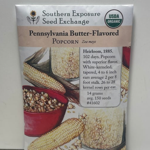 Pennsylvania Butter-Flavored Popcorn Seeds, Organic