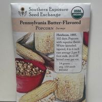 Thumbnail for Pennsylvania Butter-Flavored Popcorn Seeds, Organic