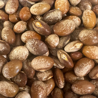 Thumbnail for Turkey Craw Pole Bean