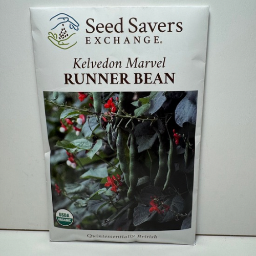 Kelvedon Runner Bean, 1950 Heirloom, British Origin