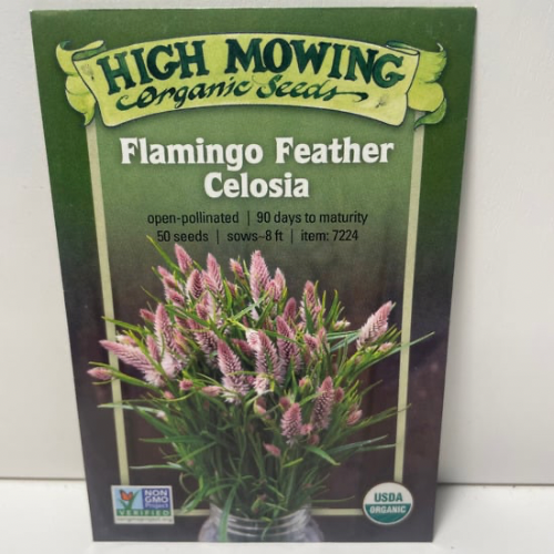 Flamingo Feather Celosia Flower Seeds, Organic