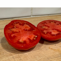 Thumbnail for Legend Tomato