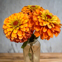 Thumbnail for Queeny Orange Lime Zinnia Flower