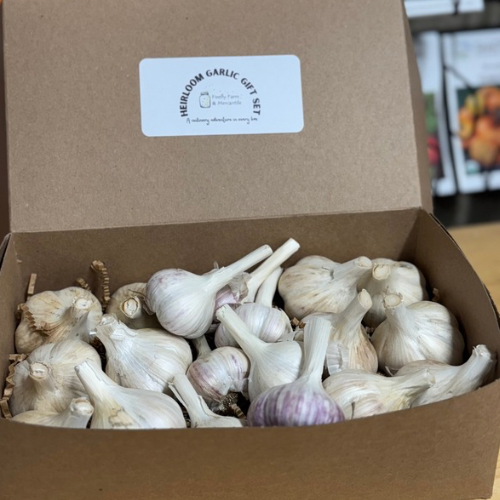 Heirloom Garlic Gift Set