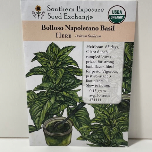 Bolloso Napoletano Basil Seeds, Organic