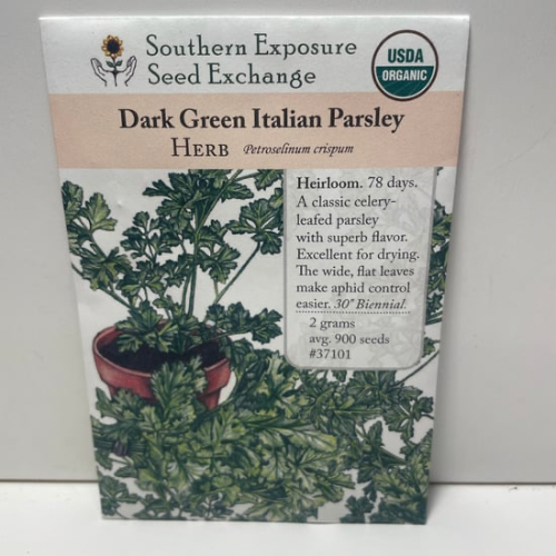 Dark Green Italy Parsley Seeds, Heirloom, Organic