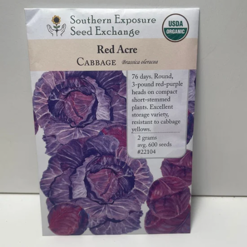 Red Acre Cabbage Seeds, 1900's Heirloom Organic