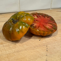 Thumbnail for Large Barred Boar Tomato, Modern Tomato, Origin USA