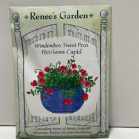 Thumbnail for Heirloom Cupid Sweet Pea Seeds, Windowbox Sweet Pea, Heirloom