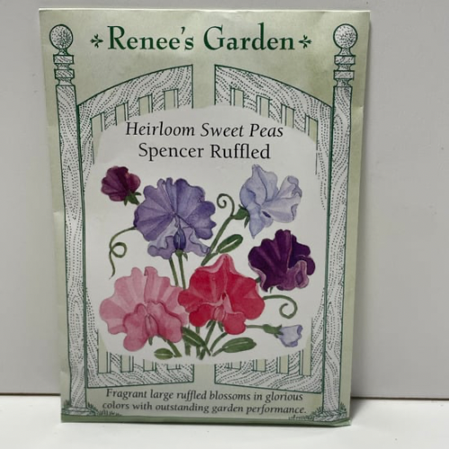 Spencer Ruffled Sweet Pea Seeds, Heirloom