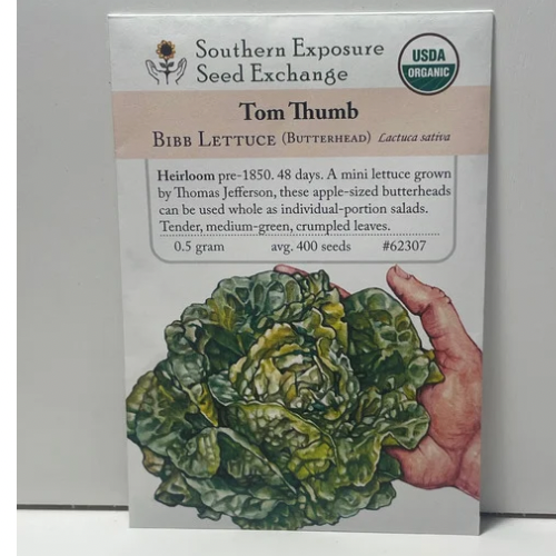Tom Thumb Bibb Lettuce Seeds (Butterhead), pre-1850 Heirloom, Organic