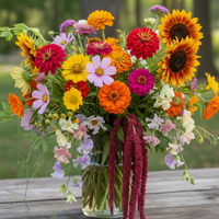 Thumbnail for First Time Flower Gardener - 7 Easy to Grow Flower Varieties