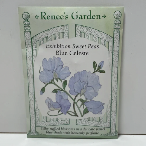 Blue Celeste Sweet Pea Seeds, Exhibition Sweet Pea
