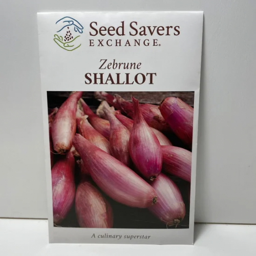 Zebrune Shallot Seeds, Heirloom