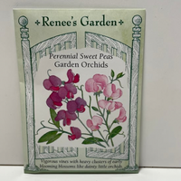 Thumbnail for Garden Orchids Sweet Pea Seeds, Perennial Sweet Pea