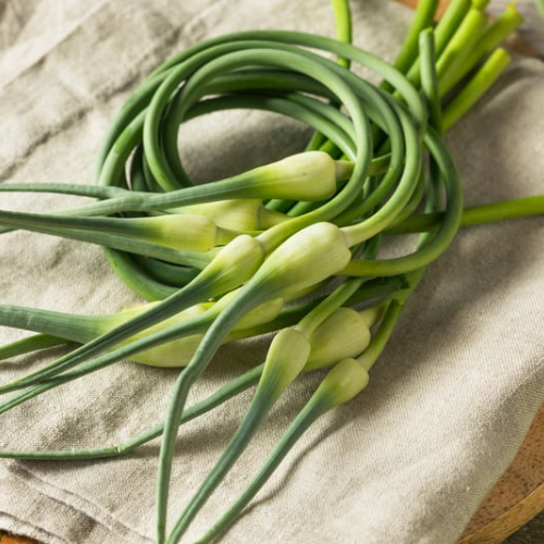 Garlic Scapes 