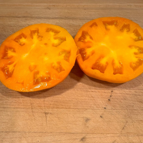 Yellow Brandywine Tomato Heirloom, Organic
