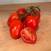 Thumbnail for Tomatoe Berry Tomato, Hybrid, Non-GMO