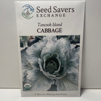 Thumbnail for Tancook Island Cabbage Seeds, 1900's Heirloom, Organic