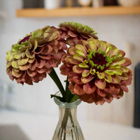 Thumbnail for Queeny Red Lime Zinnia Flower