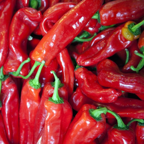 Pepper Sweet Hungarian Magyar Paprika, Heirloom