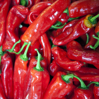 Thumbnail for Pepper Sweet Hungarian Magyar Paprika, Heirloom