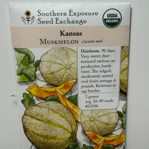 Kansas Melon, Organic, Heirloom