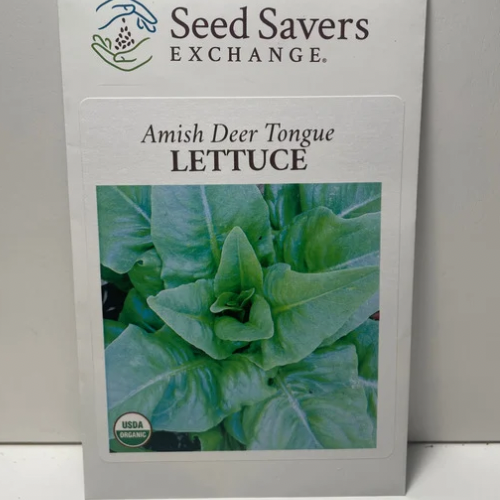 Amish Deer Tongue Lettuce Seeds, organic