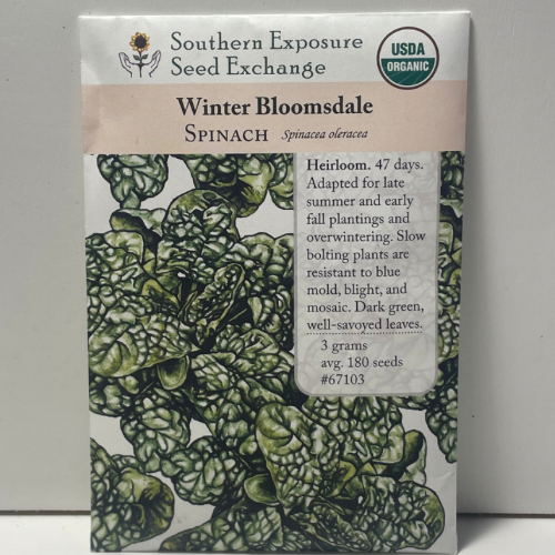 Winter Bloomsdale Spinach Seeds, Organic