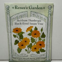 Thumbnail for Black-Eyed Susan Vine Flower, Heirloom