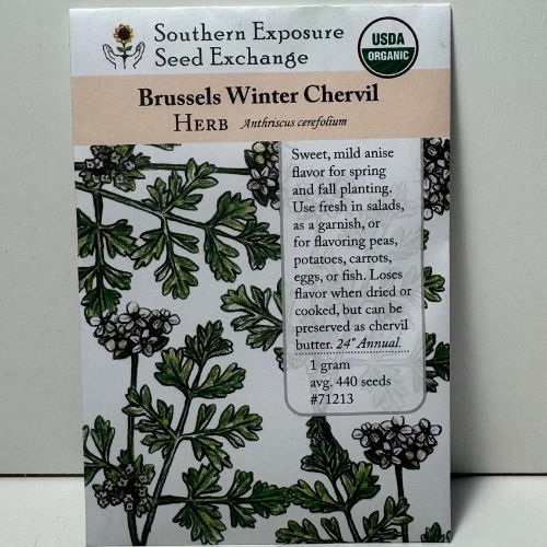 Chervil Brussels Winter, Heirloom