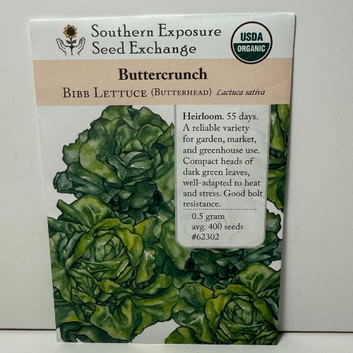 Buttercrunch Lettuce, 1960's Heirloom, Organic