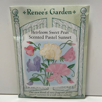 Thumbnail for Scented Sunset Pastel Sweet Pea Seeds, Heirloom