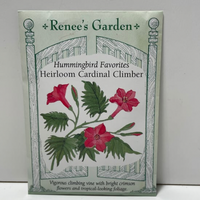 Thumbnail for Cardinal Climber Flower Seeds, 1800's Heirloom