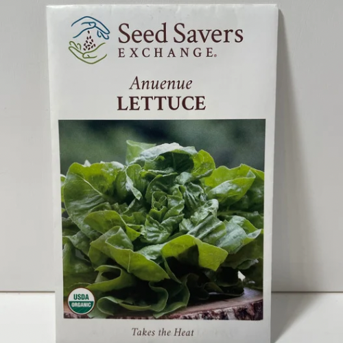 Anuenue Lettuce, organic