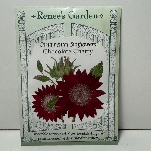 Chocolate Cherry Sunflowers Seeds, Ornamental Sunflowers