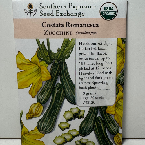 Costata Romanesco Zucchini, 1600's Heirloom