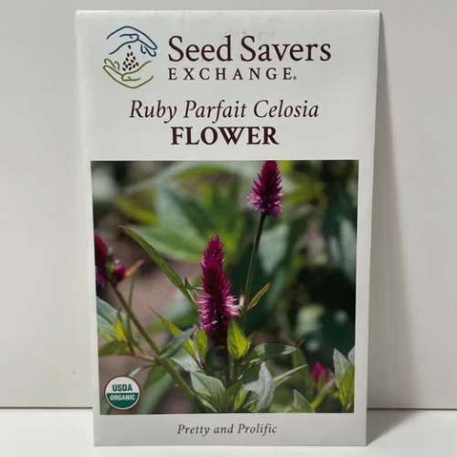 Ruby Parfait Celosia Flower Seeds, Organic