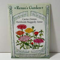 Thumbnail for Raggedy Anne Cactus Zinnia Flower, Organic, Heirloom