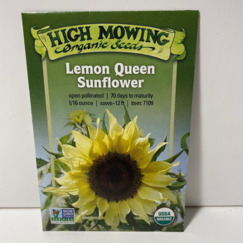 Lemon Queen Sunflower, Organic