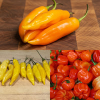 Thumbnail for Aji Pepper Seed Collection, Heirloom