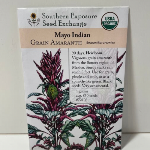 Mayo Indian Grain Amaranth Seeds, Mexican Heirloom, Organic