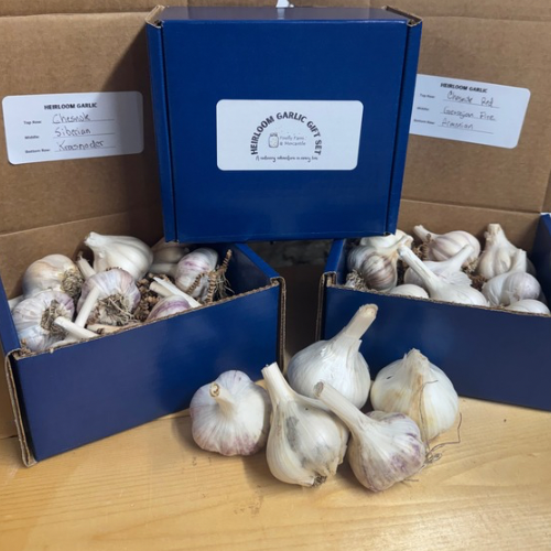 Heirloom Garlic Gift Set